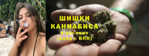 ПСИЛОЦИБИНОВЫЕ ГРИБЫ Иннополис