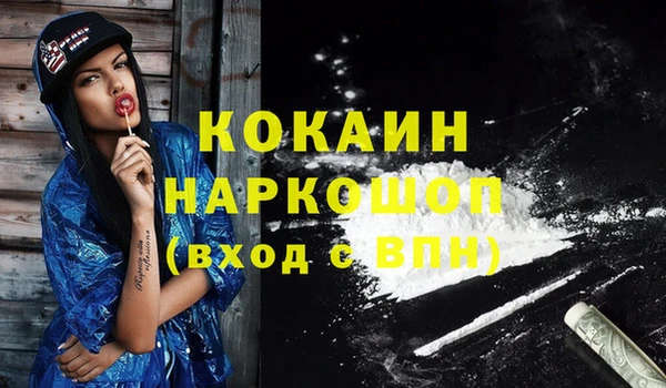 ешки Белокуриха