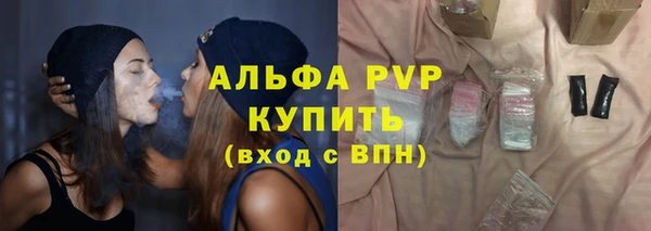spice Инсар