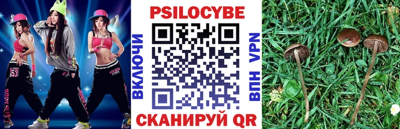 Галлюциногенные грибы мицелий Лесосибирск